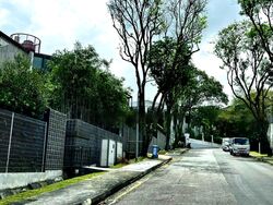 Gallop Walk (D10), Detached #467249251